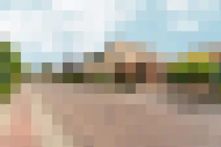 Peppelpas 13 Wehl thumbnail 44