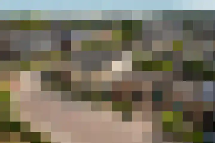 Peppelpas 13 Wehl thumbnail 45