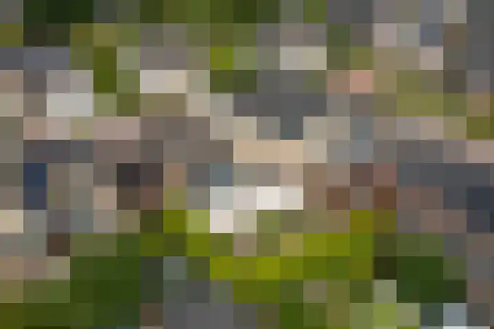 Peppelpas 13 Wehl thumbnail 46