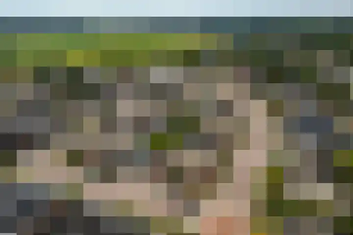 Peppelpas 13 Wehl thumbnail 47