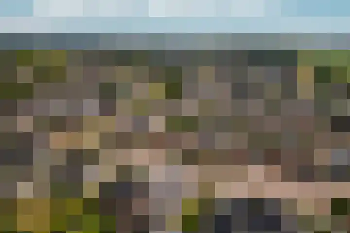 Peppelpas 13 Wehl thumbnail 48