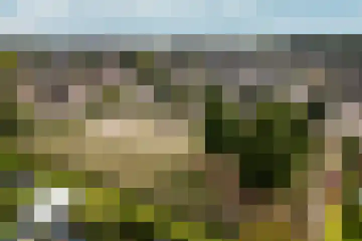 Peppelpas 13 Wehl thumbnail 49