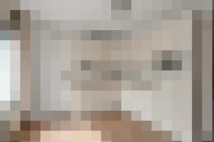 Peppelpas 13 Wehl thumbnail 9