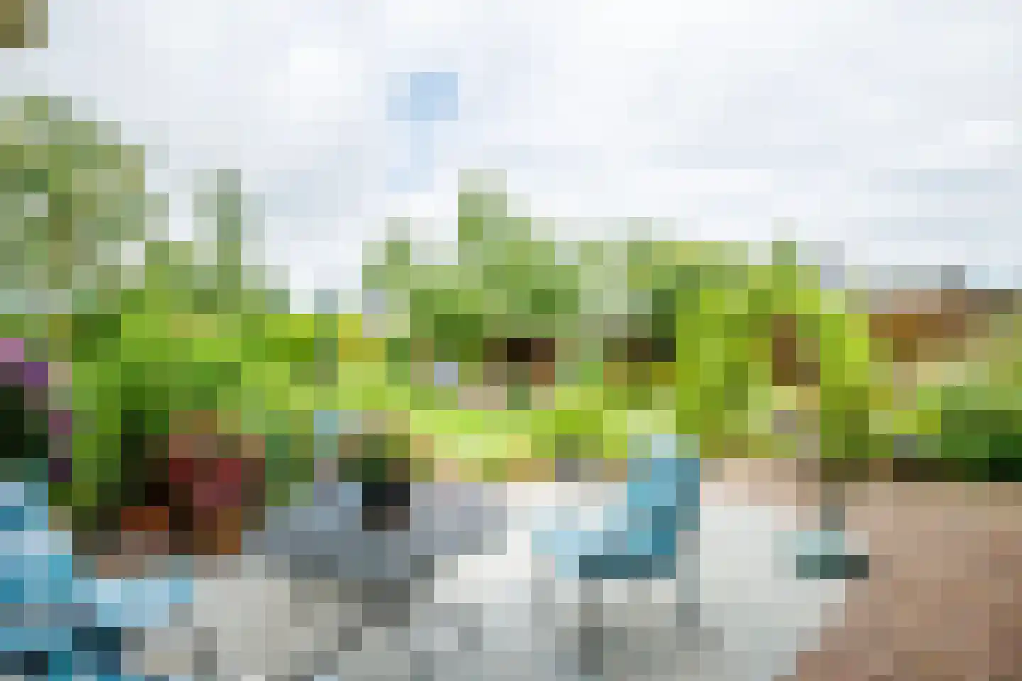 Peppelpas 20 Wehl thumbnail 21