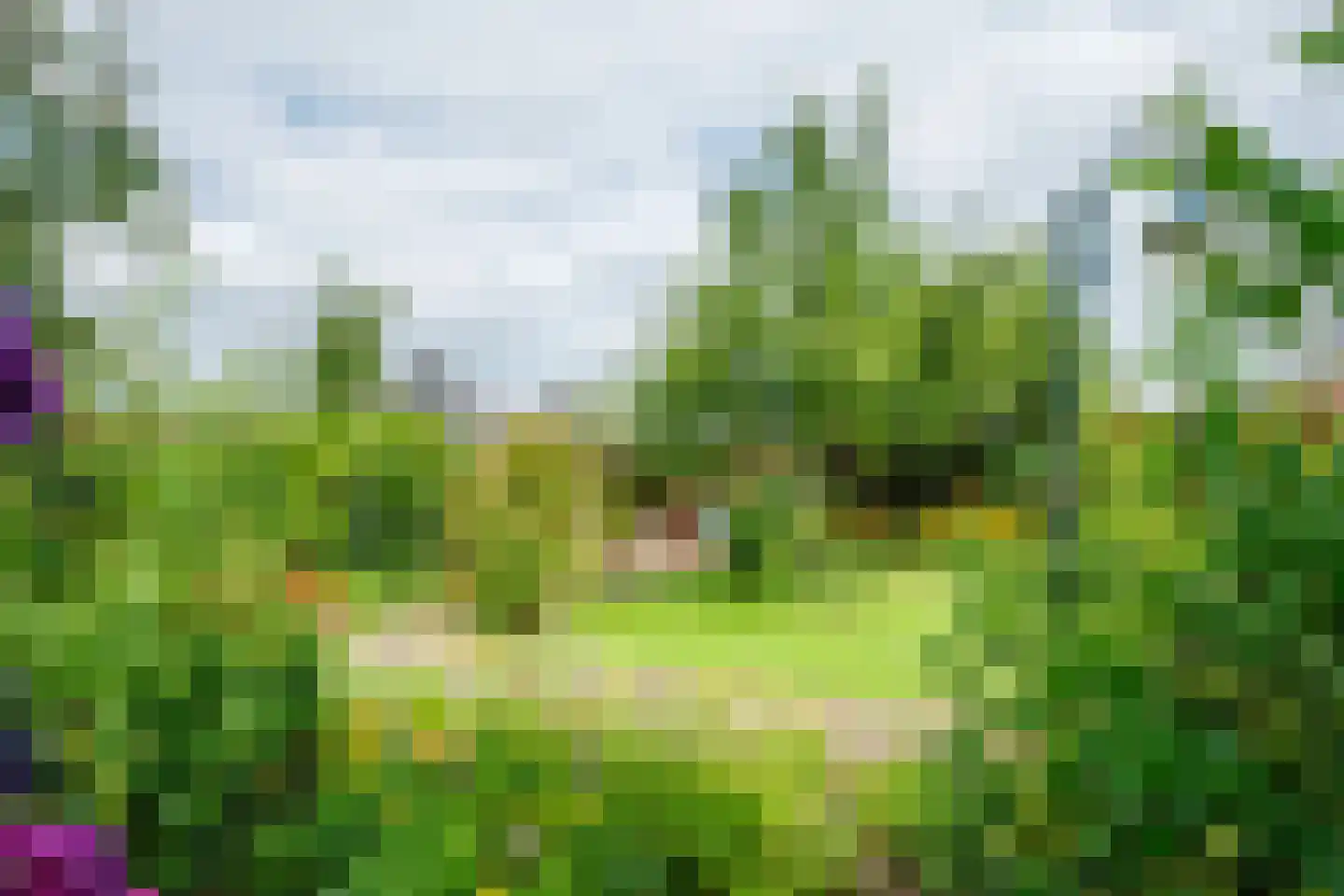 Peppelpas 20 Wehl thumbnail 22
