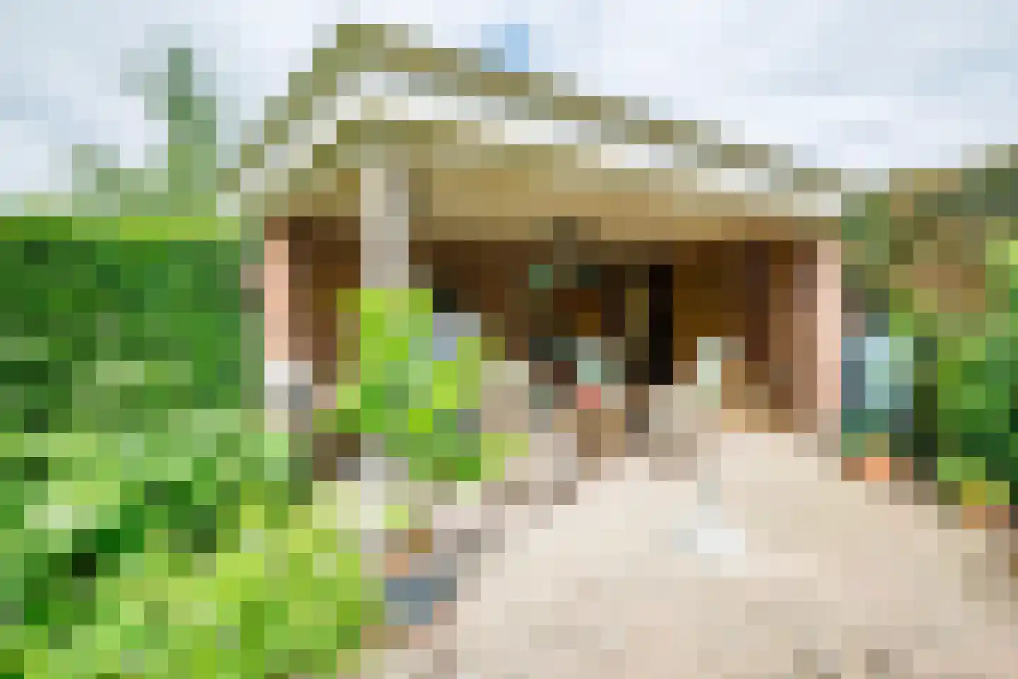 Peppelpas 20 Wehl thumbnail 23