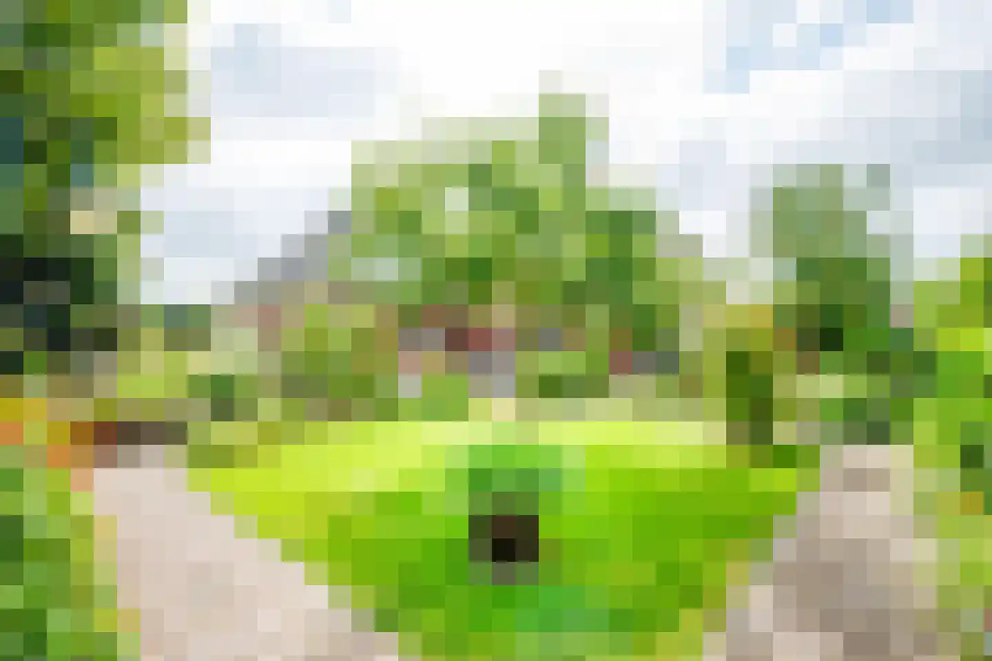 Peppelpas 20 Wehl thumbnail 24