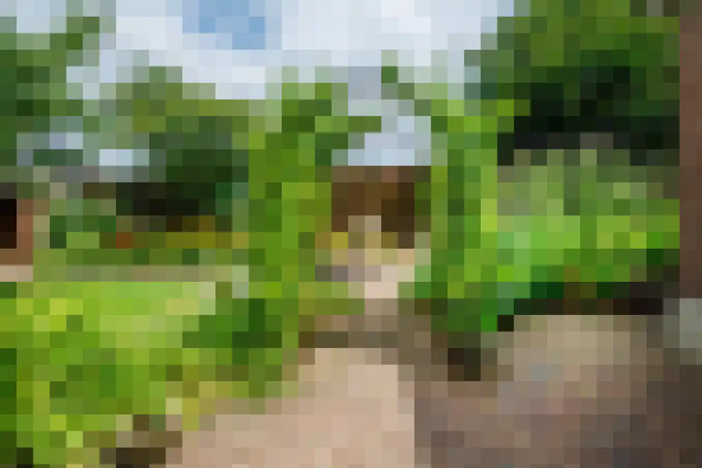 Peppelpas 20 Wehl thumbnail 26