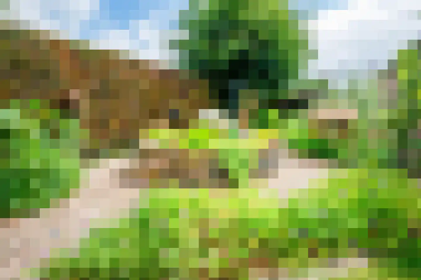 Peppelpas 20 Wehl thumbnail 27