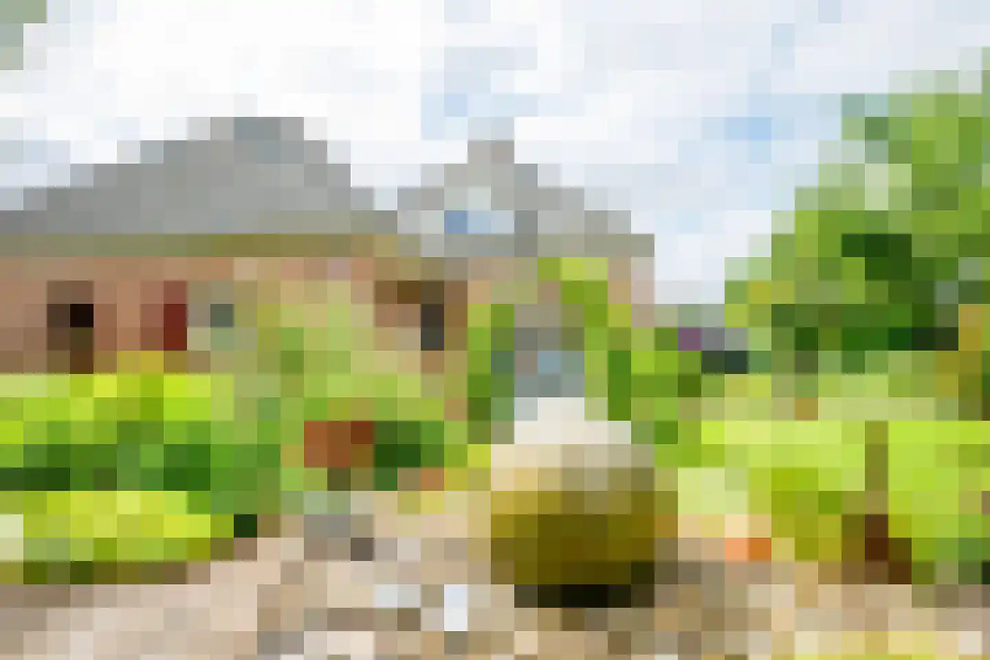 Peppelpas 20 Wehl thumbnail 28