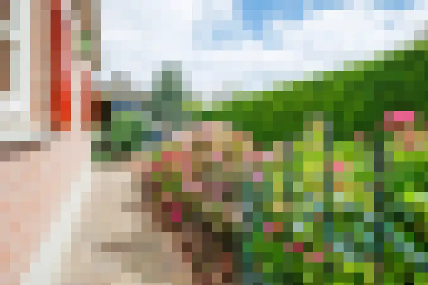 Peppelpas 20 Wehl thumbnail 31