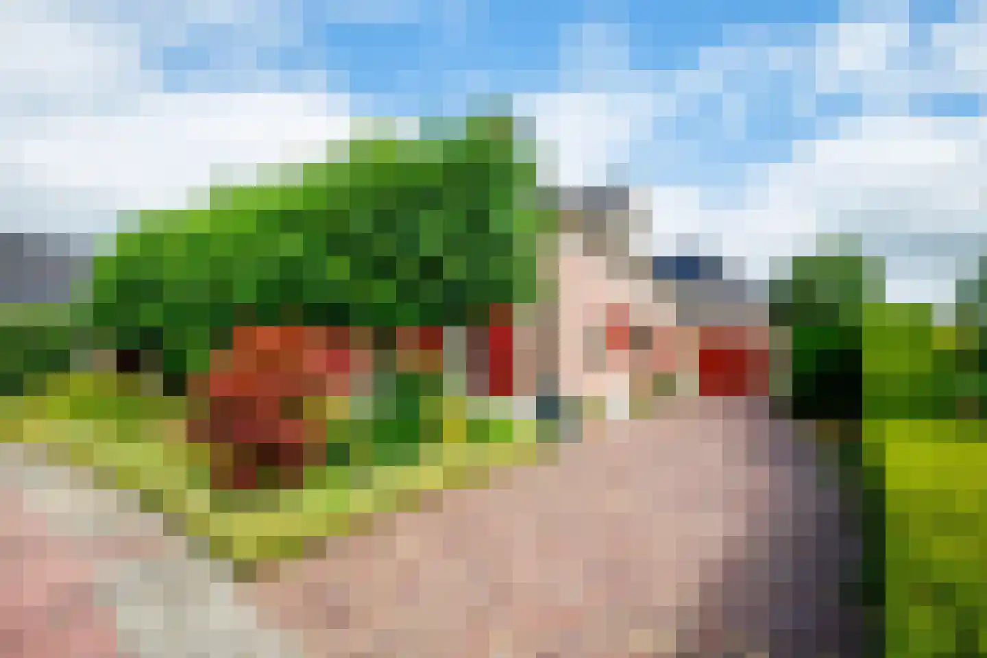 Peppelpas 20 Wehl thumbnail 32