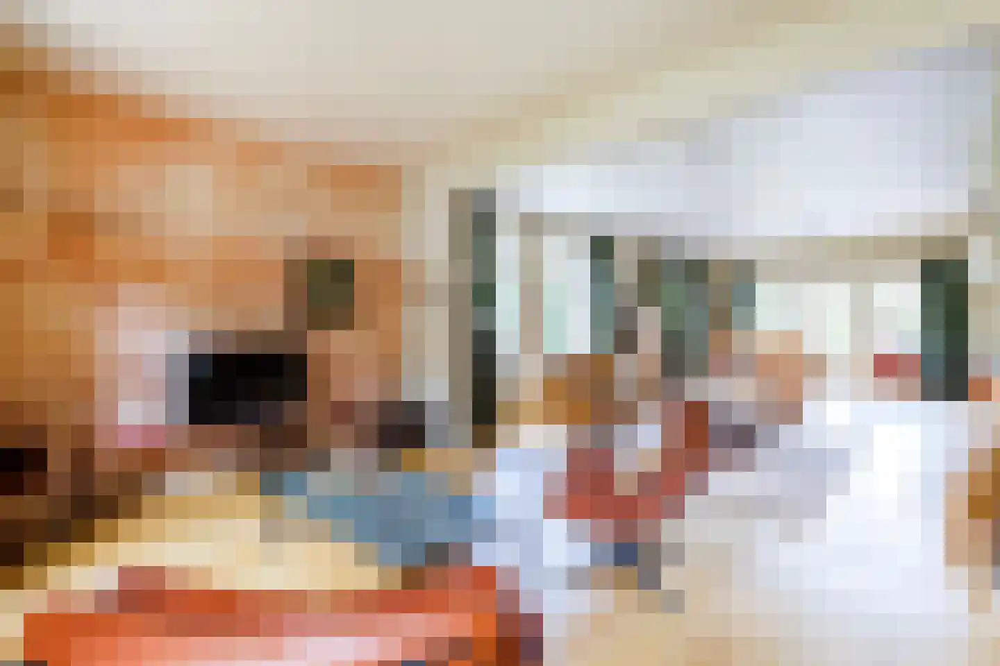 Peppelpas 20 Wehl thumbnail 4
