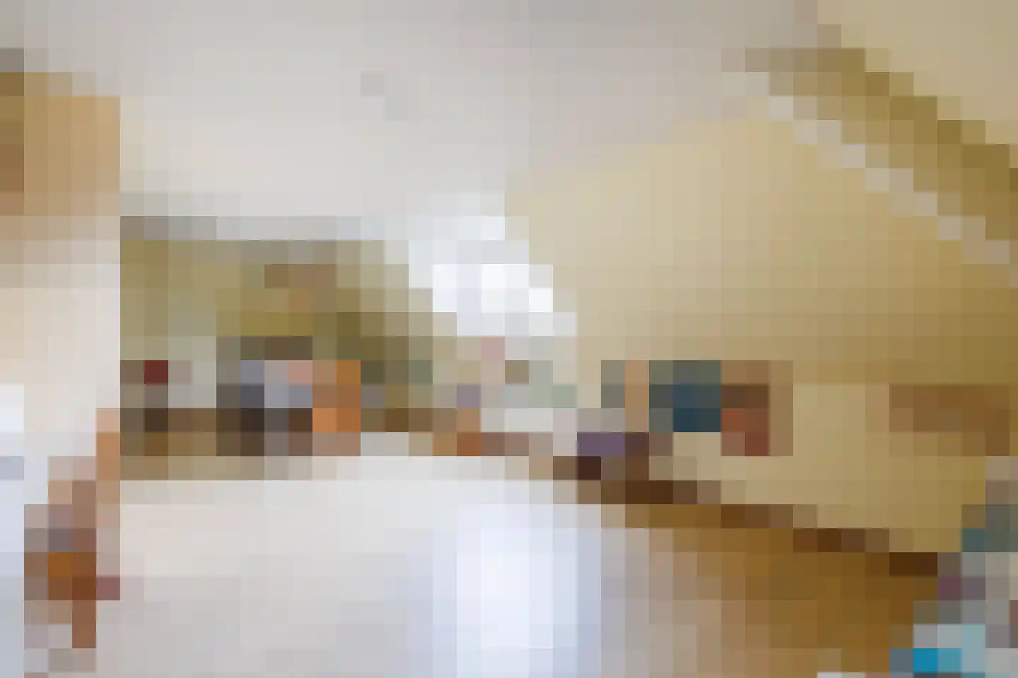Peppelpas 20 Wehl thumbnail 41