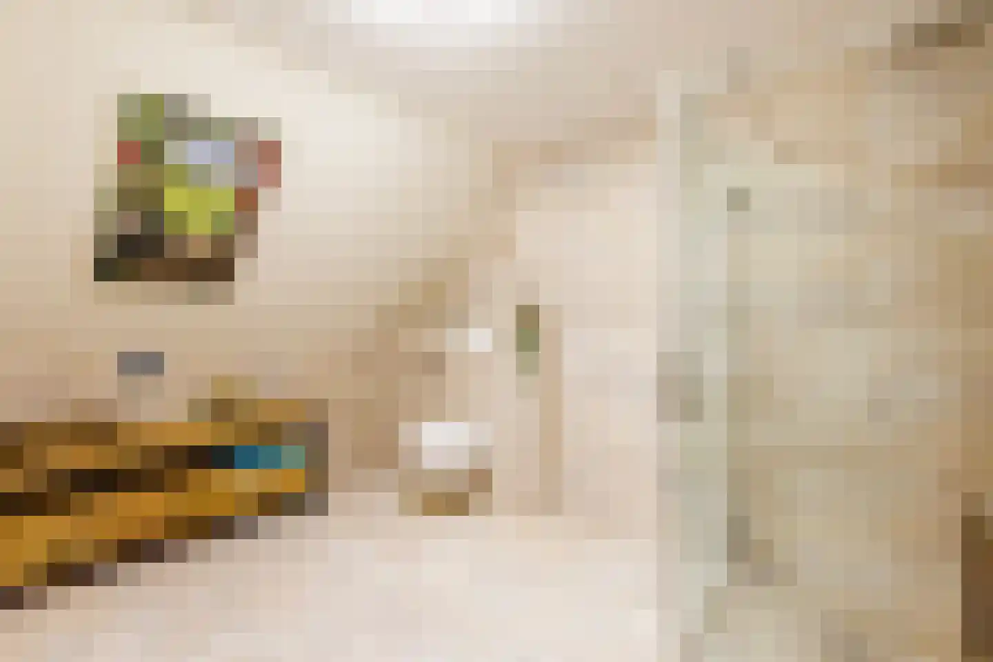 Peppelpas 20 Wehl thumbnail 42