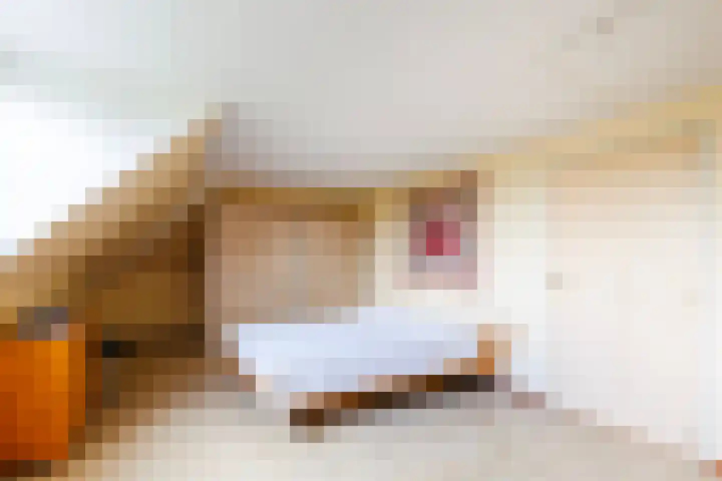 Peppelpas 20 Wehl thumbnail 46