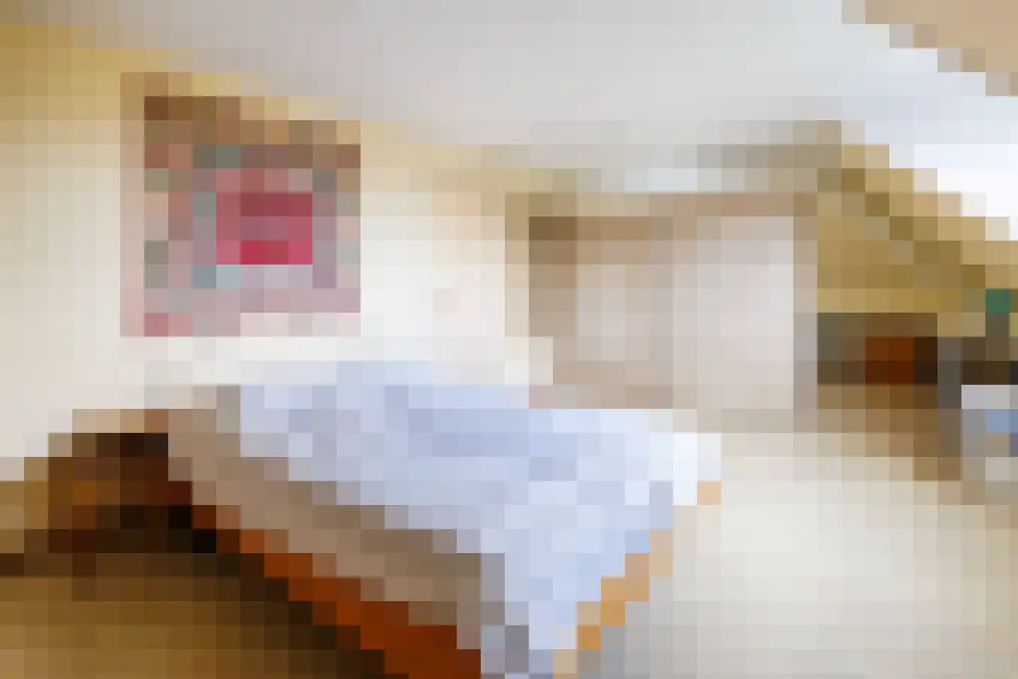 Peppelpas 20 Wehl thumbnail 48