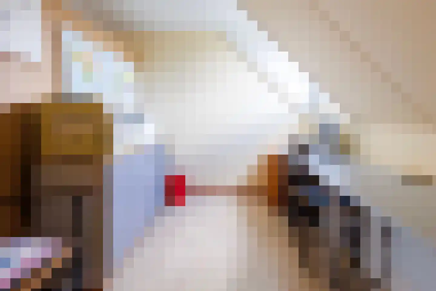 Peppelpas 20 Wehl thumbnail 50
