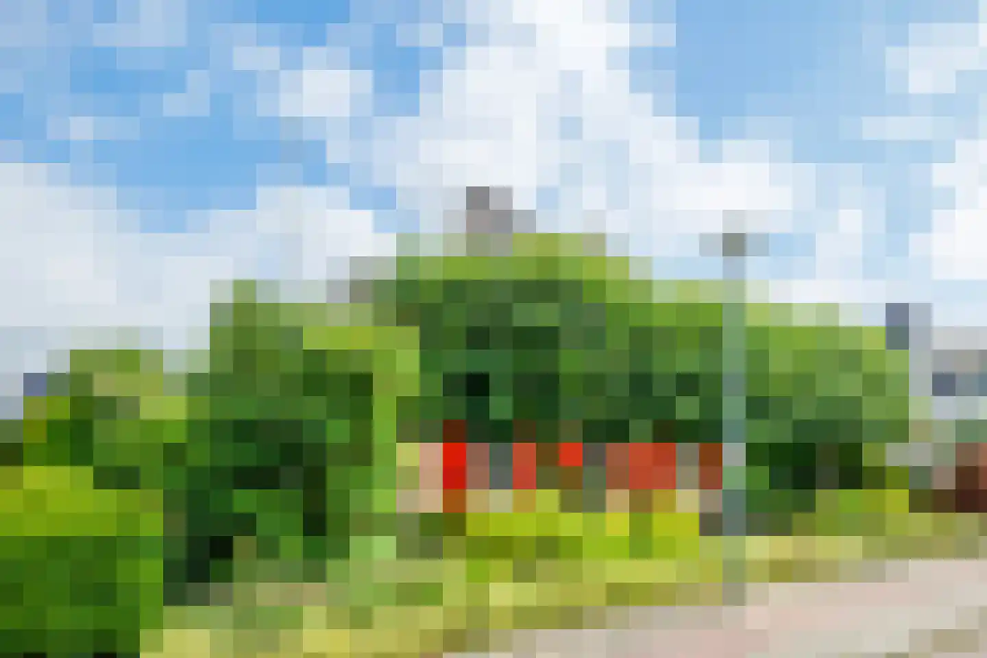 Peppelpas 20 Wehl thumbnail 54