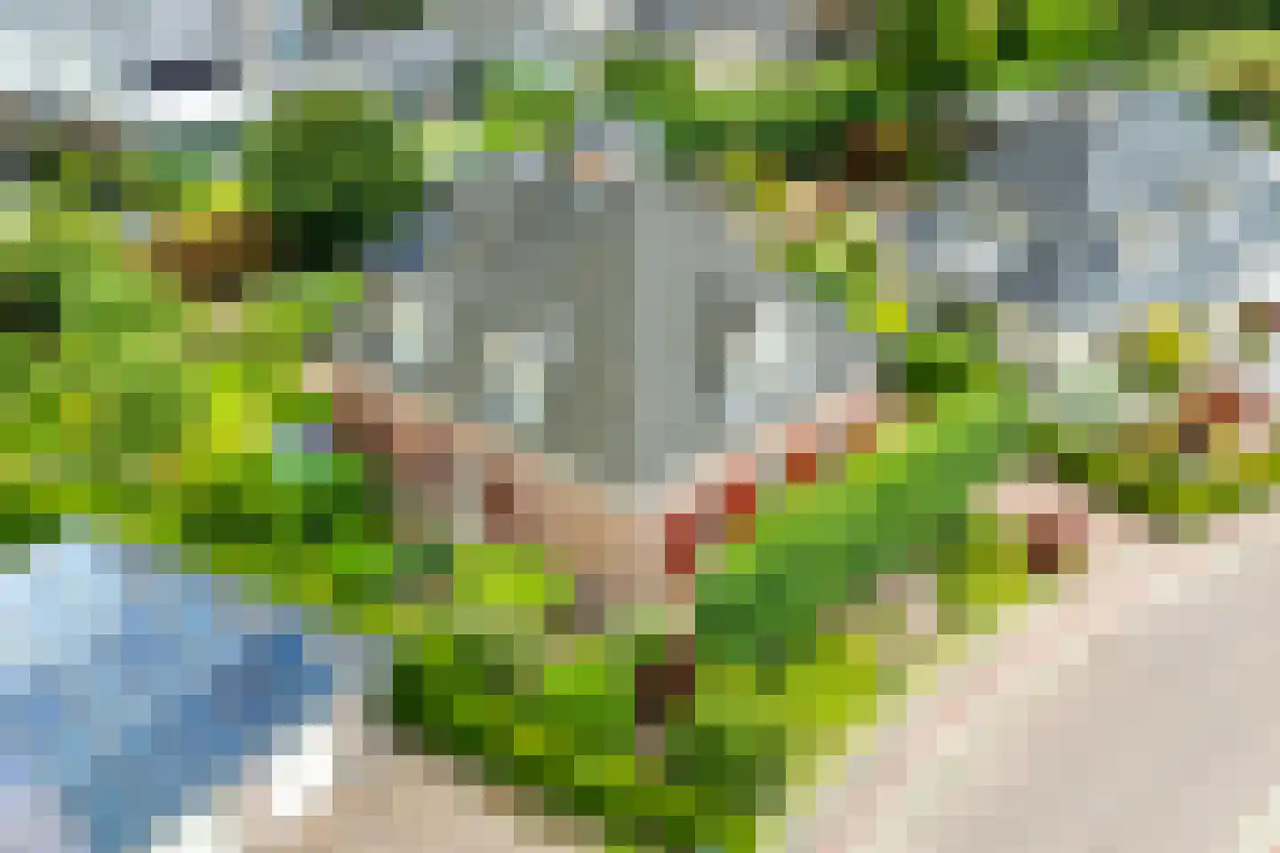 Peppelpas 20 Wehl thumbnail 56