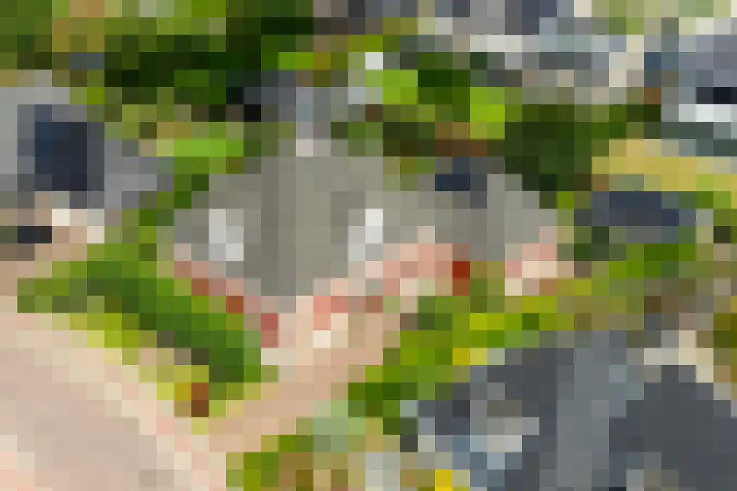 Peppelpas 20 Wehl thumbnail 57