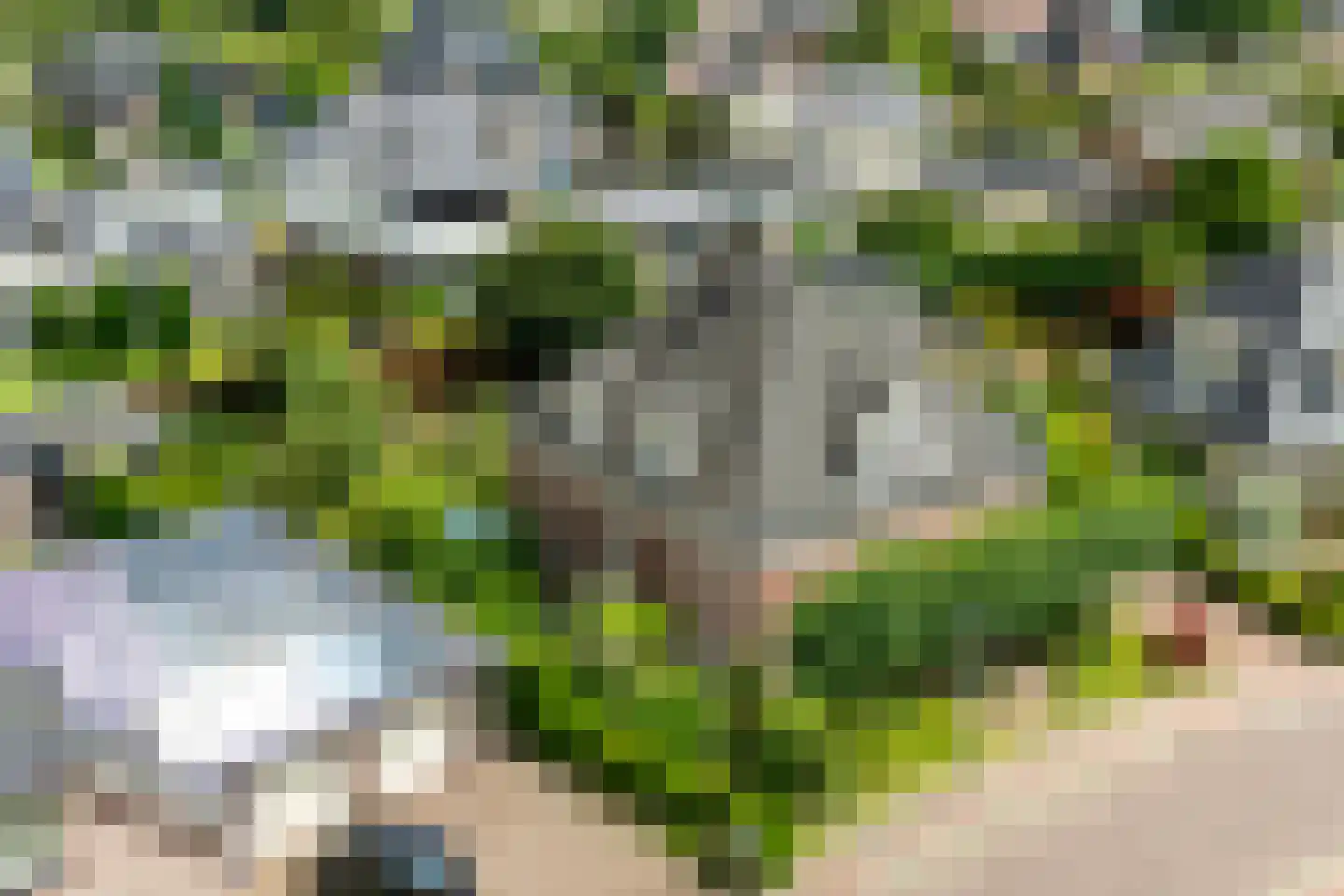 Peppelpas 20 Wehl thumbnail 58