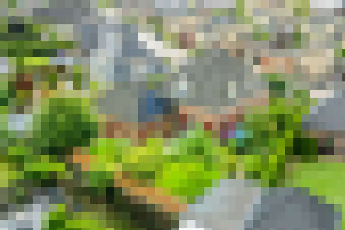 Peppelpas 20 Wehl thumbnail 59