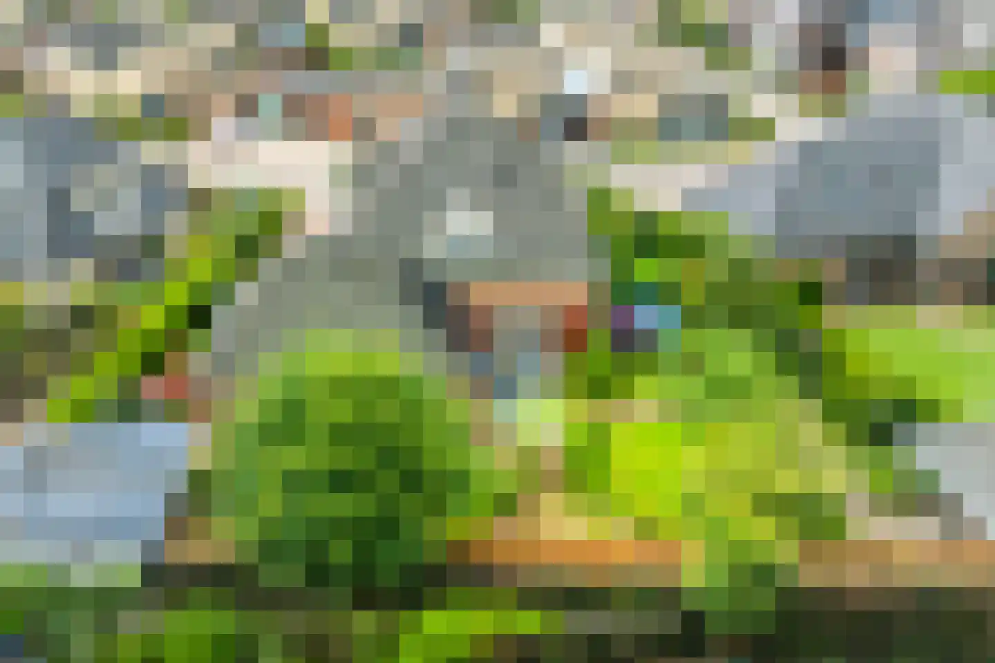 Peppelpas 20 Wehl thumbnail 60