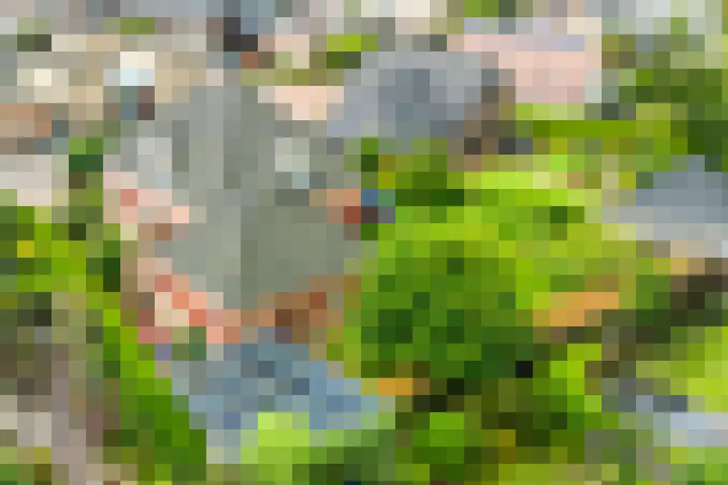 Peppelpas 20 Wehl thumbnail 61
