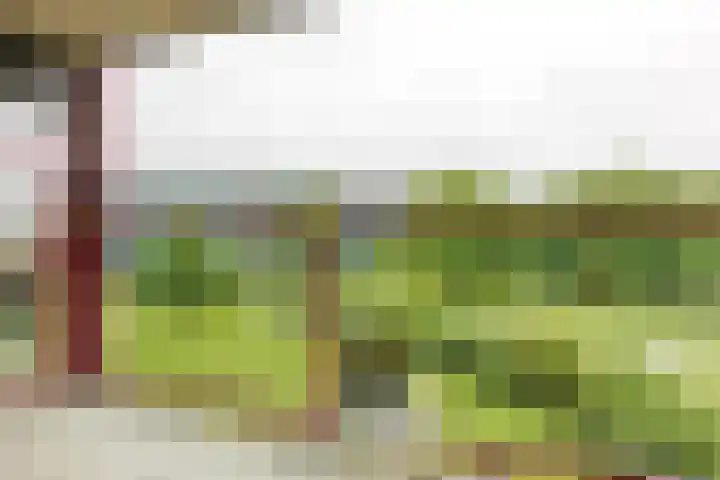 Peppelschans 11 Leiderdorp thumbnail 14
