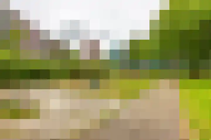 Peppelschans 11 Leiderdorp thumbnail 30