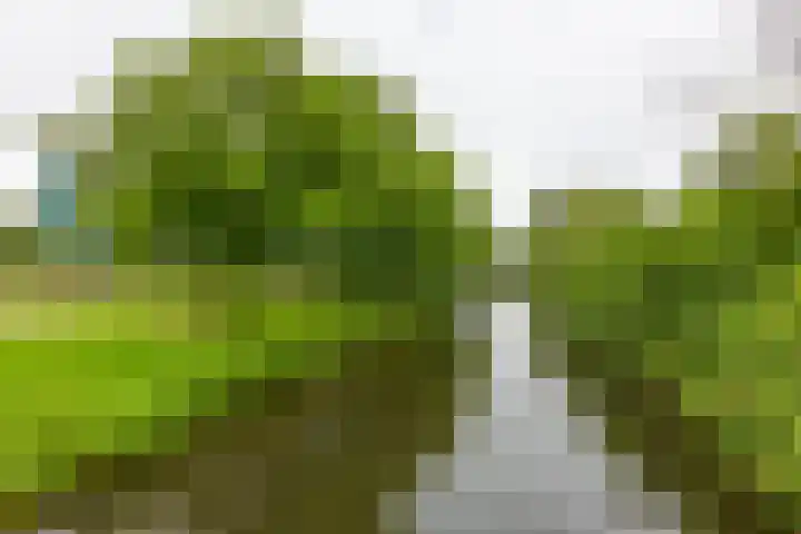 Peppelschans 11 Leiderdorp thumbnail 33