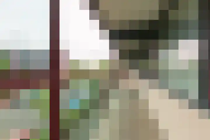 Peppelschans 11 Leiderdorp thumbnail 9