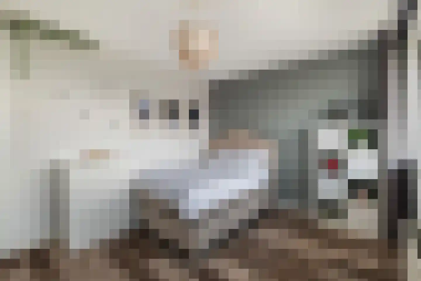 Peppelschans 45 Leiderdorp thumbnail 27