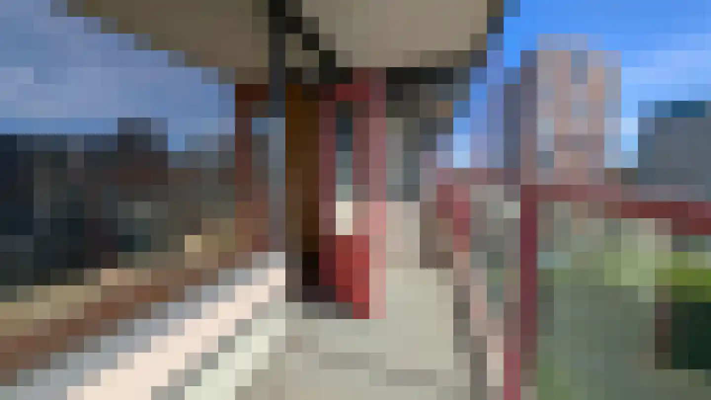Peppelschans 46 Leiderdorp thumbnail 12