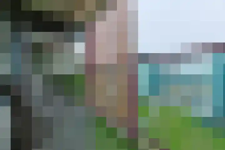 Peppelschans 49 Leiderdorp thumbnail 20