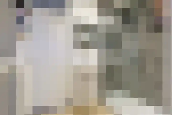 Peppelschans 49 Leiderdorp thumbnail 4