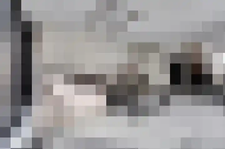Peppelstraat 12 Spijkenisse thumbnail 13