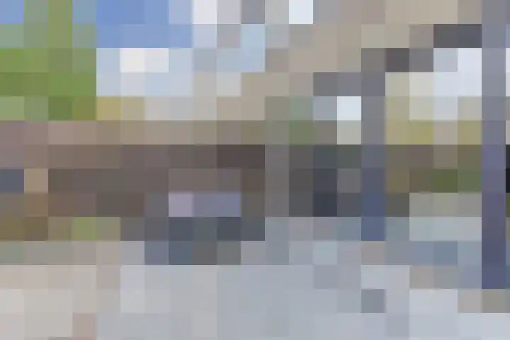 Peppelstraat 12 Spijkenisse thumbnail 15