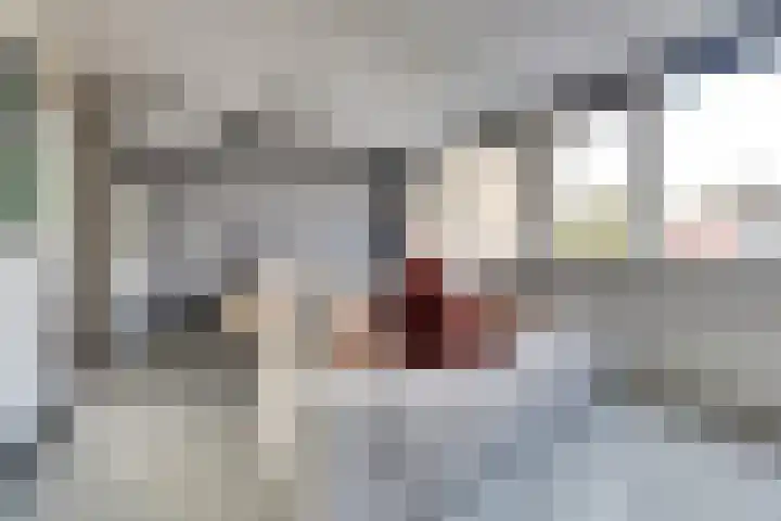 Peppelstraat 12 Spijkenisse thumbnail 26