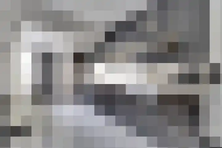 Peppelstraat 12 Spijkenisse thumbnail 4