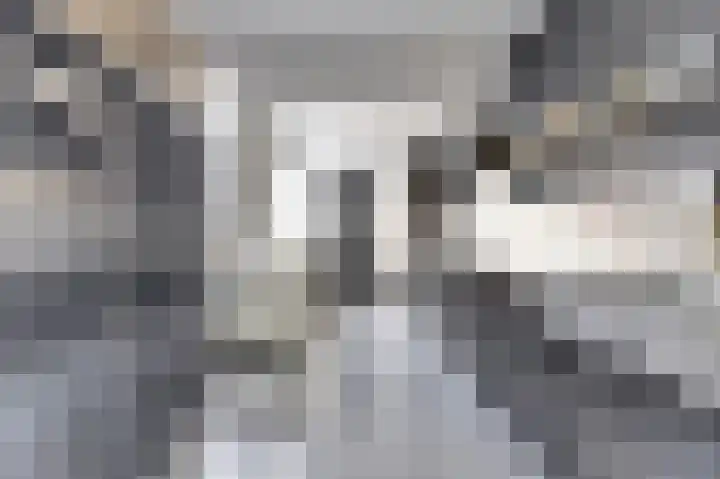 Peppelstraat 12 Spijkenisse thumbnail 5