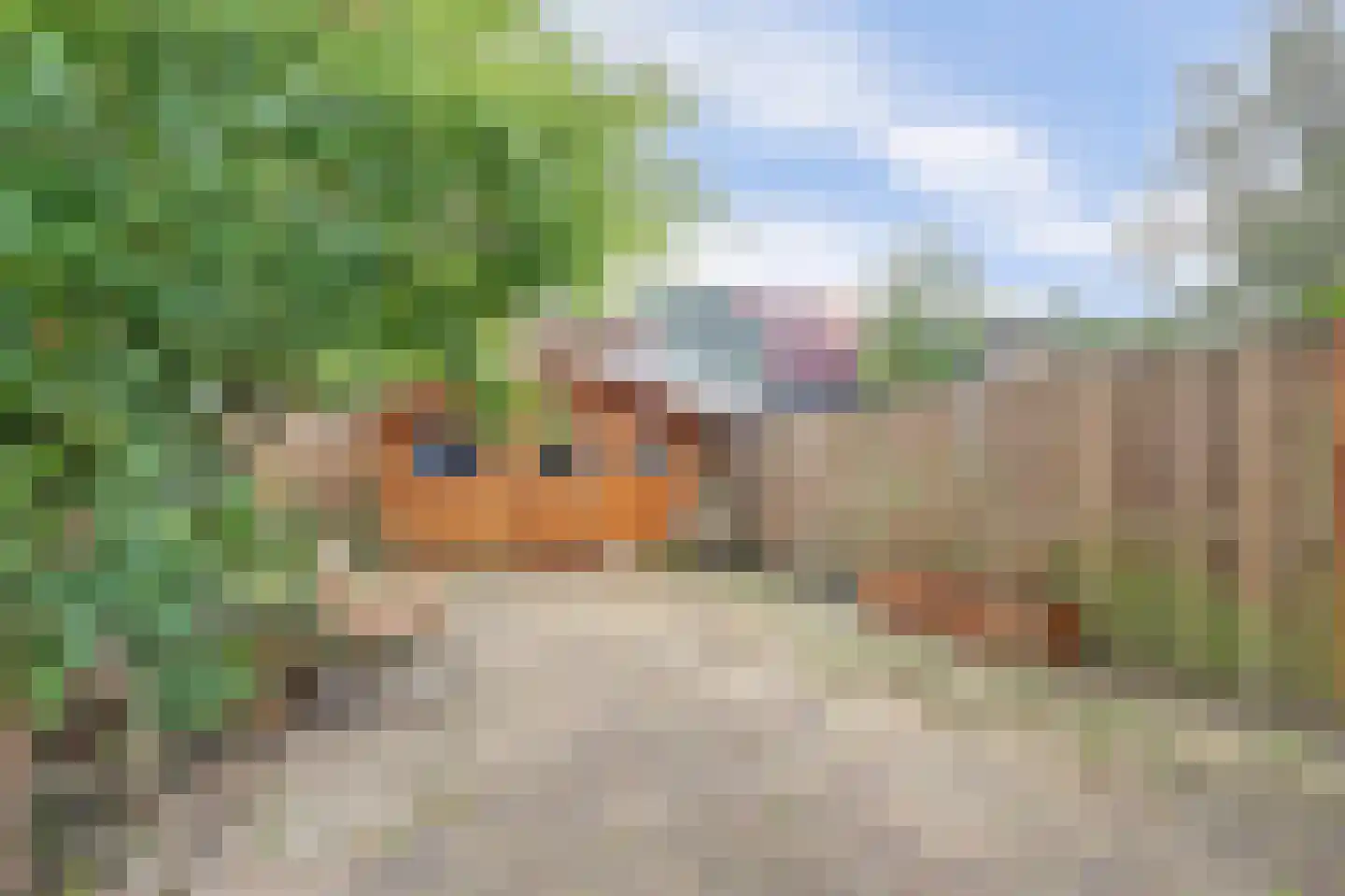 Peppelstraat 5 Spijkenisse thumbnail 10