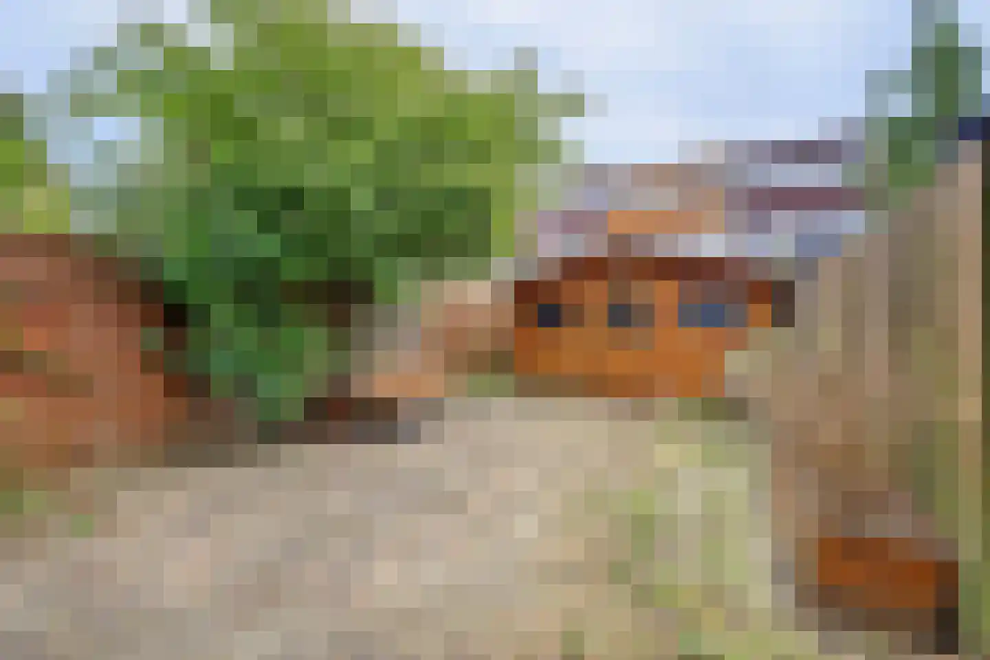Peppelstraat 5 Spijkenisse thumbnail 11