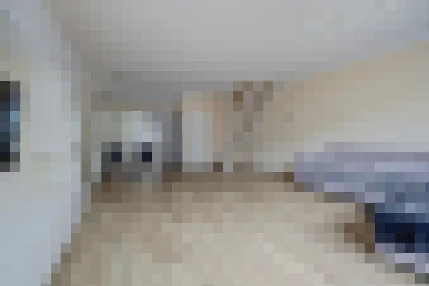 Peppelstraat 5 Spijkenisse thumbnail 7