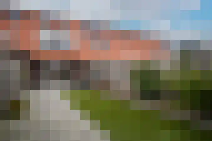 Peppelveld 33 Beneden-Leeuwen thumbnail 32