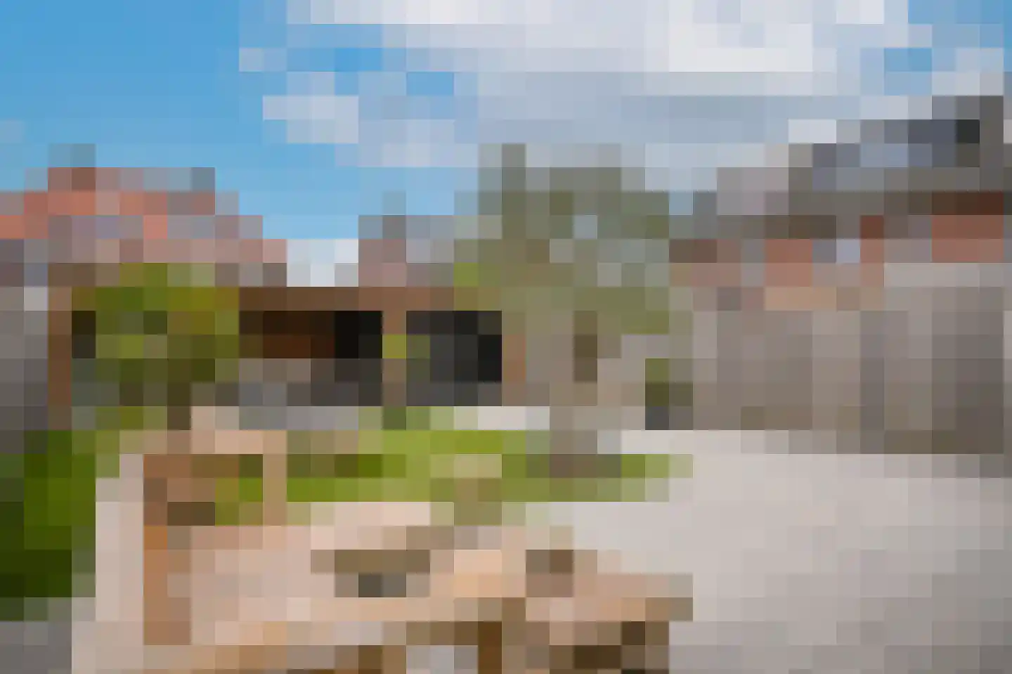 Peppelveld 35 Beneden-Leeuwen thumbnail 25