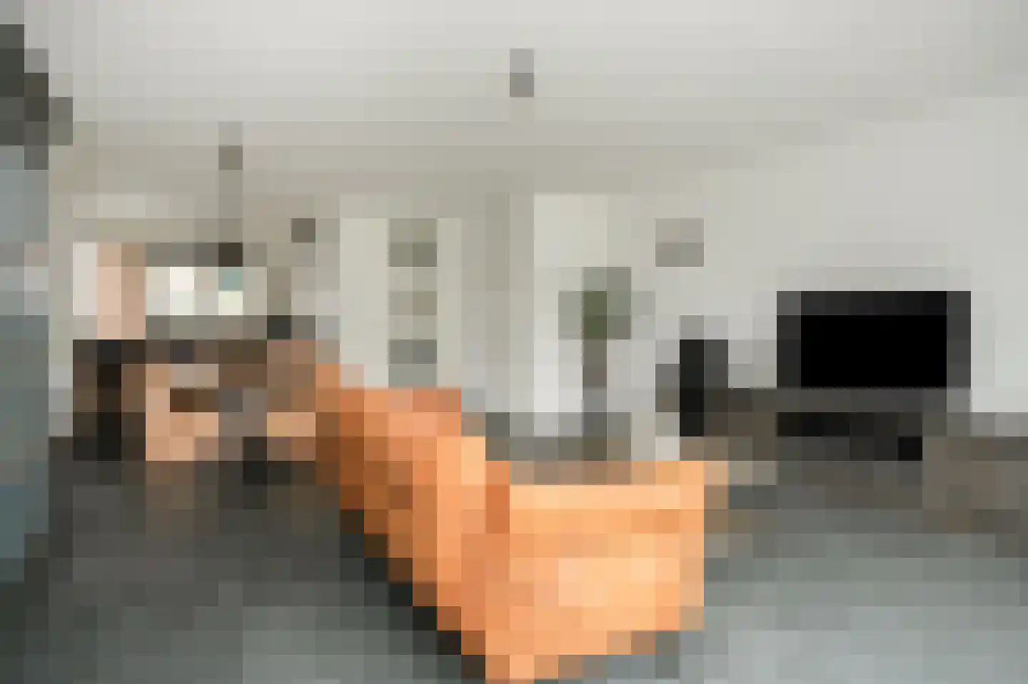 Peppelveld 35 Beneden-Leeuwen thumbnail 4