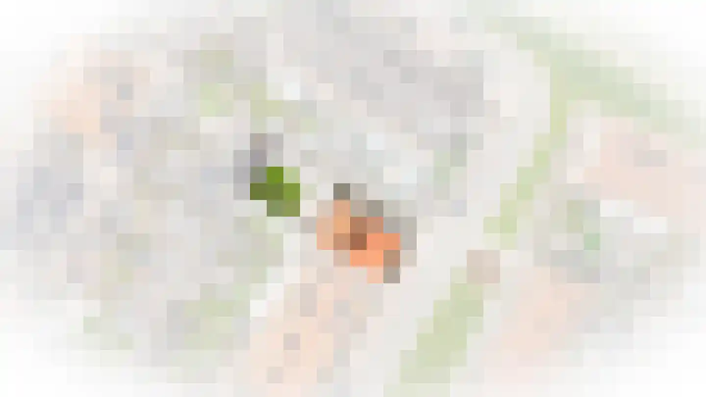 Peppelveld 35 Beneden-Leeuwen thumbnail 40