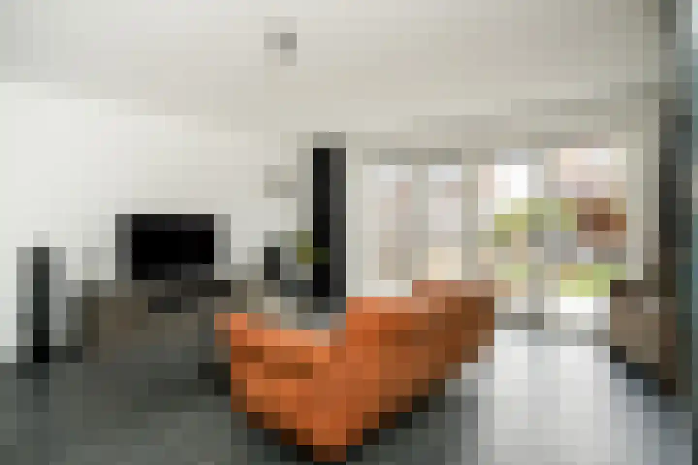Peppelveld 35 Beneden-Leeuwen thumbnail 7